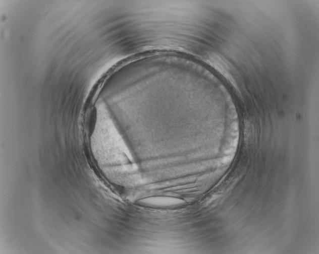 X0000088201068200706121735