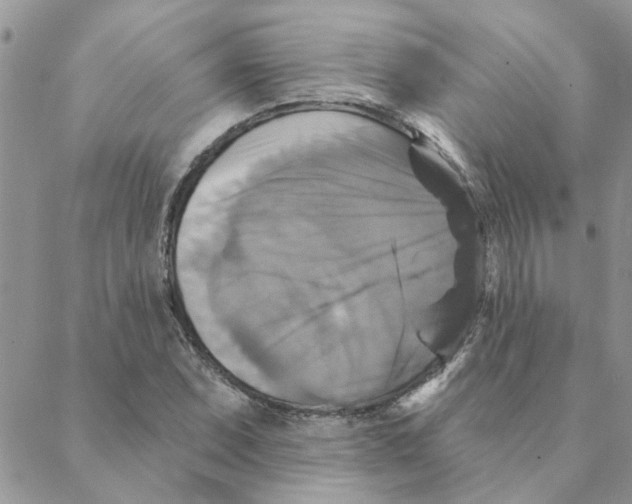 X0000088201071200706121735