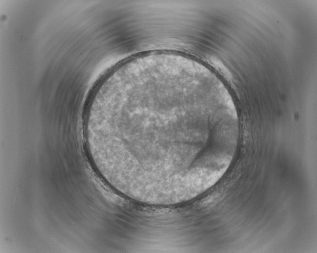 X0000088201072200706121735