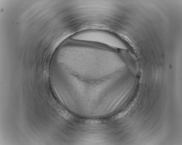 X0000088201073200706121735