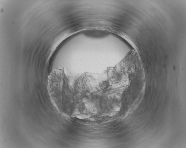 X0000088201075200706121735