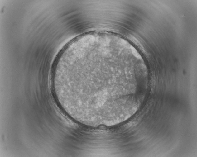 X0000088201076200706121735