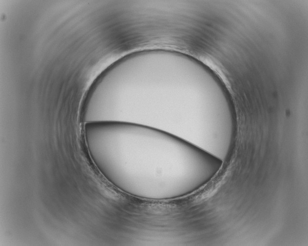 X0000088201077200706121735