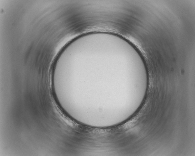 X0000088201078200706121735