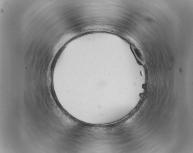 X0000088201082200706121735