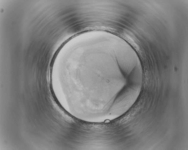 X0000088201084200706121734