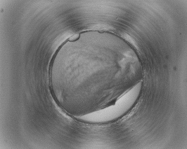 X0000088201087200706121734