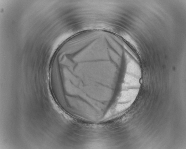 X0000088201088200706121734