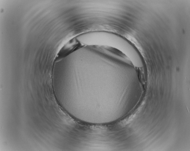 X0000088201089200706121734