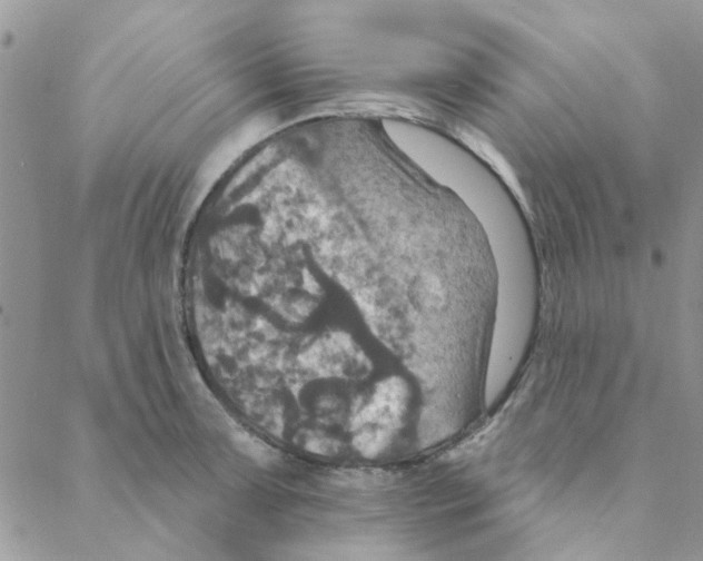 X0000088201091200706121734