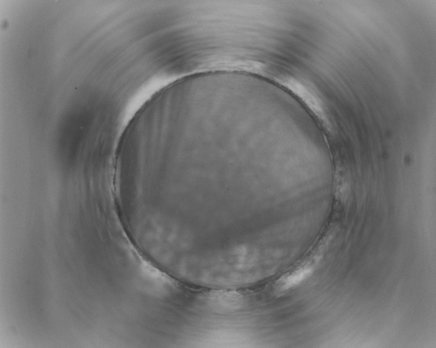 X0000088201094200706121734
