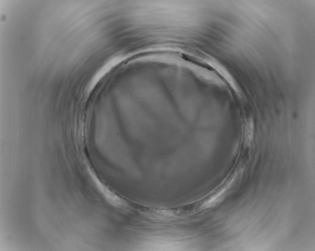 X0000088201101200706121734