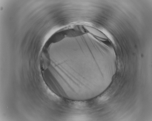 X0000088201102200706121734