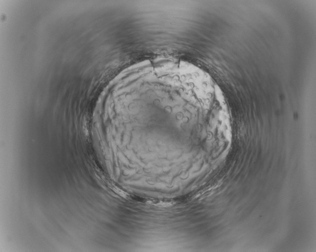 X0000088201106200706121733