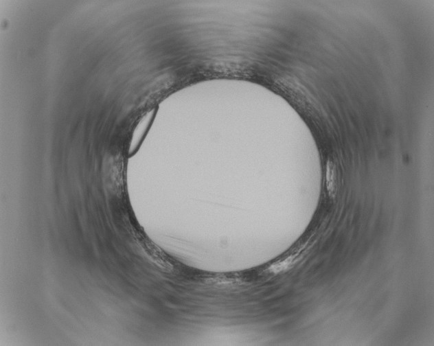 X0000088201107200706121733