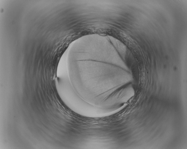 X0000088201108200706121733
