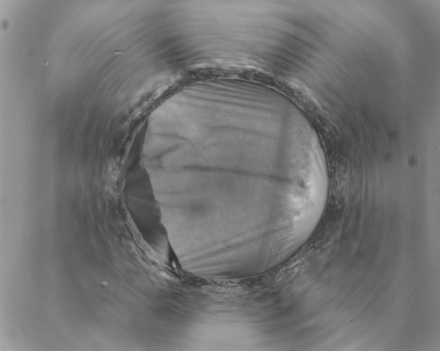 X0000088201110200706121733