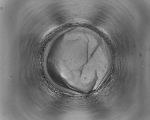 X0000088201112200706121734