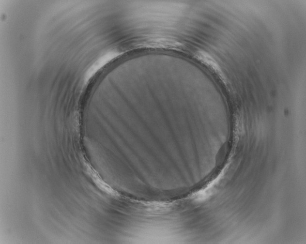 X0000088201114200706121734