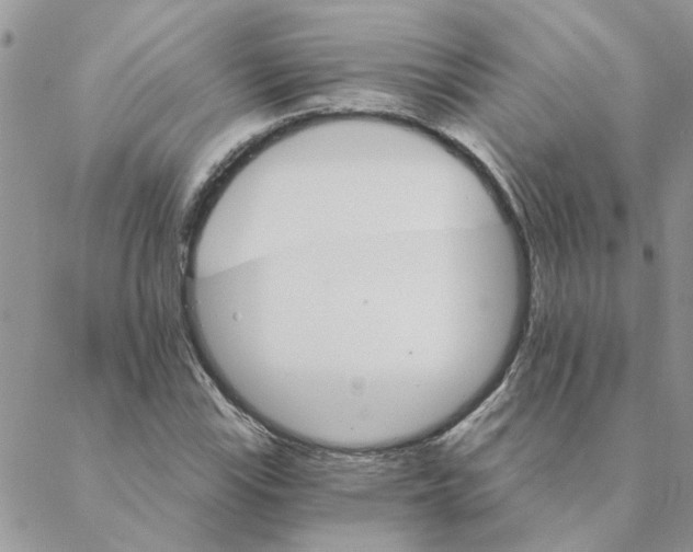 X0000088201115200706121734