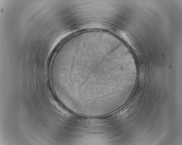 X0000088201116200706121734