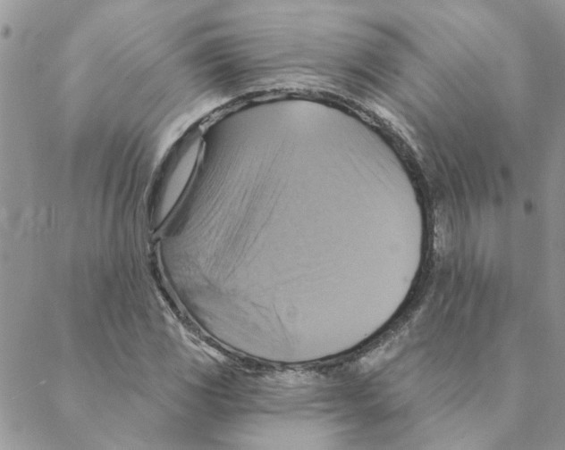 X0000088201117200706121734