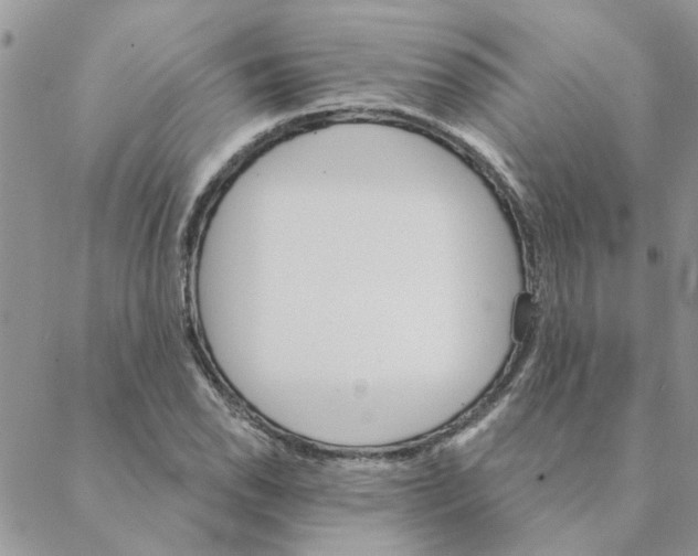 X0000088201118200706121734