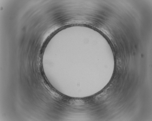 X0000088201119200706121734