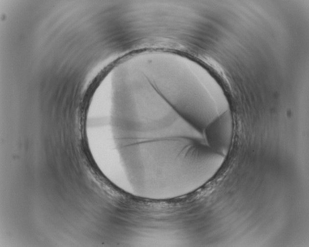 X0000088201120200706121734