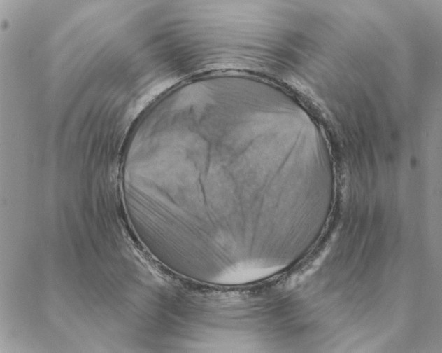X0000088201121200706121734