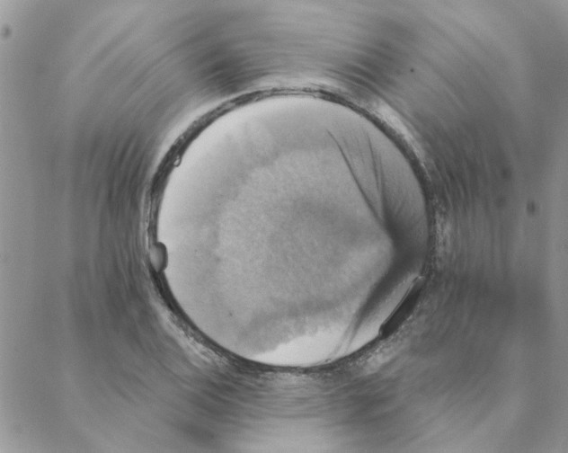 X0000088201124200706121734