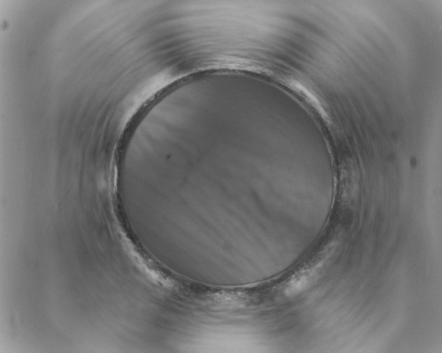 X0000088201125200706121734
