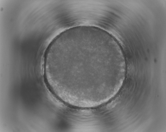 X0000088201126200706121734