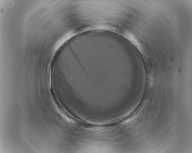 X0000088201127200706121734