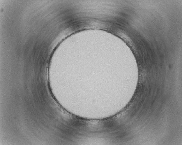 X0000088201130200706121734