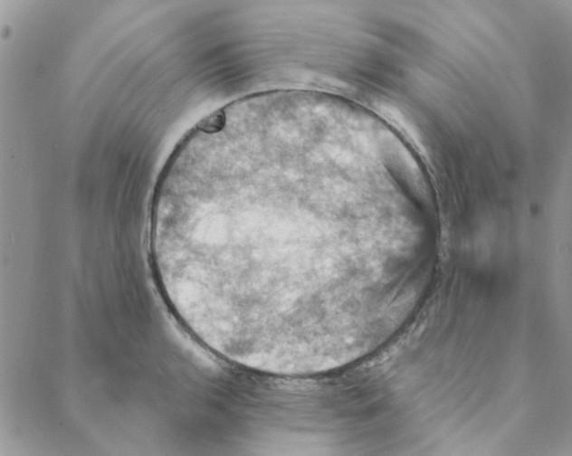 X0000088201136200706121734