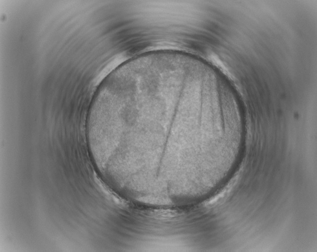 X0000088201137200706121734