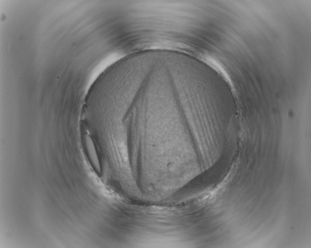 X0000088201138200706121734
