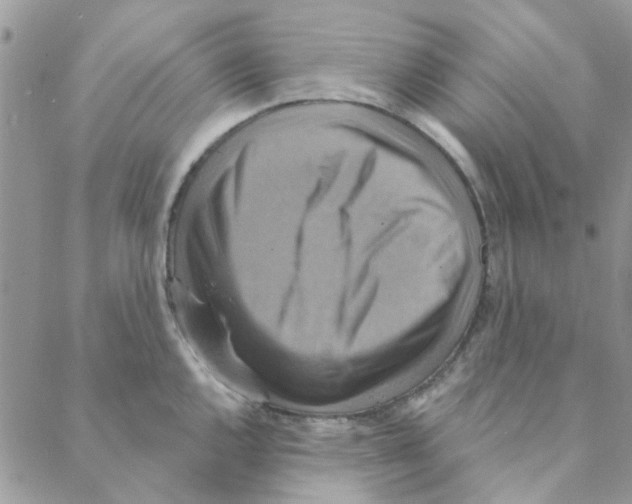 X0000088201144200706121734