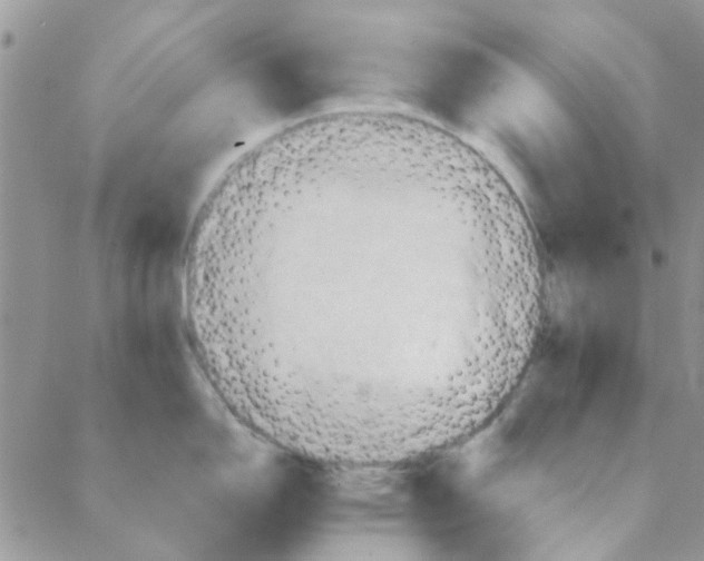 X0000088201150200706121734