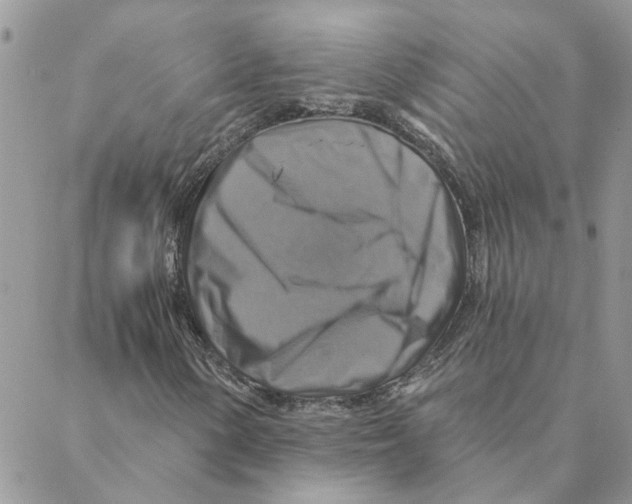 X0000088201154200706121733