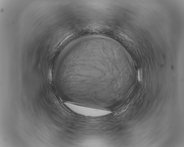 X0000088201155200706121733