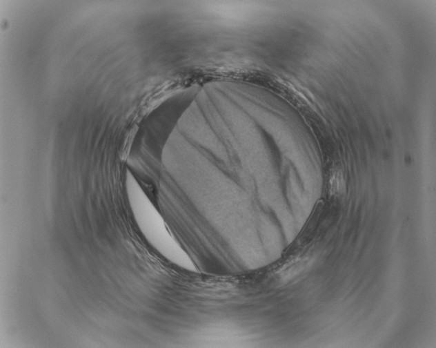 X0000088201156200706121733