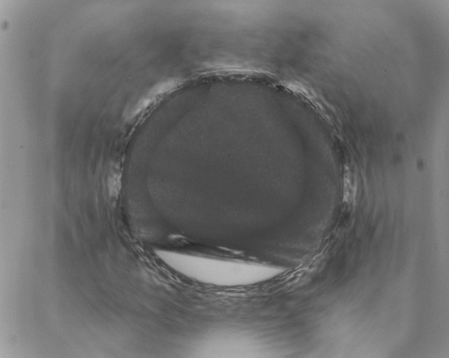 X0000088201157200706121733