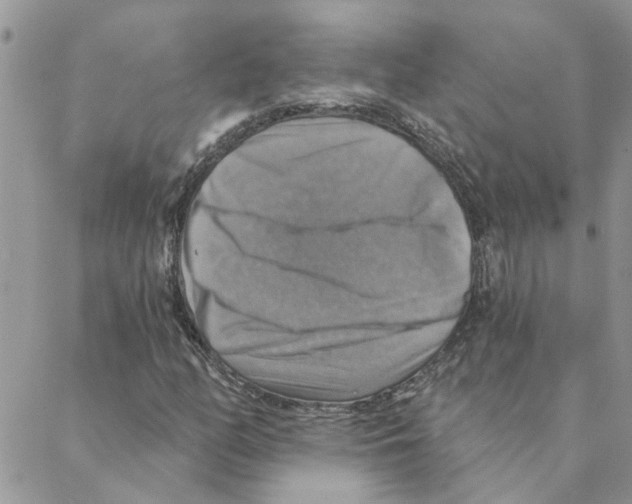X0000088201158200706121733