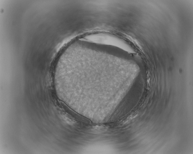 X0000088201160200706121733