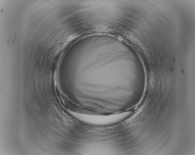 X0000088201161200706121733