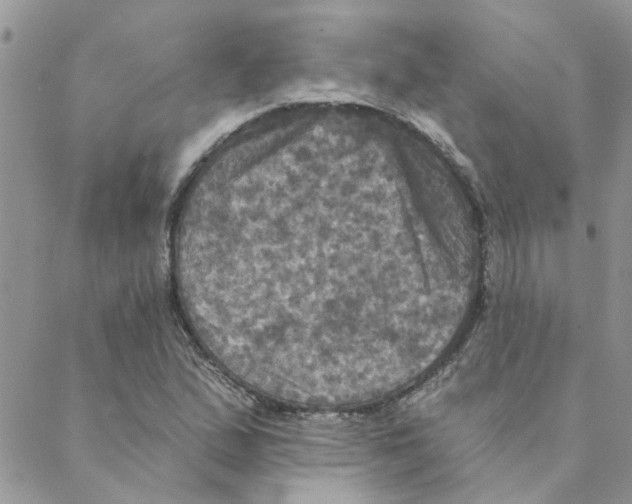 X0000088201167200706121733