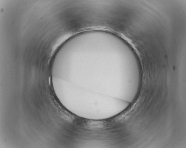 X0000088201171200706121733