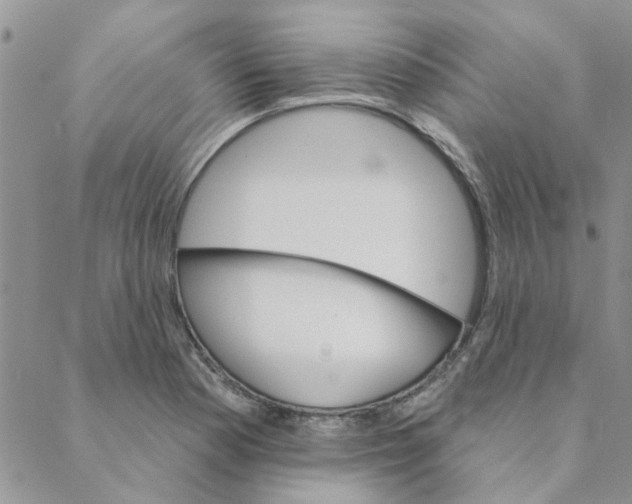 X0000088201177200706121733